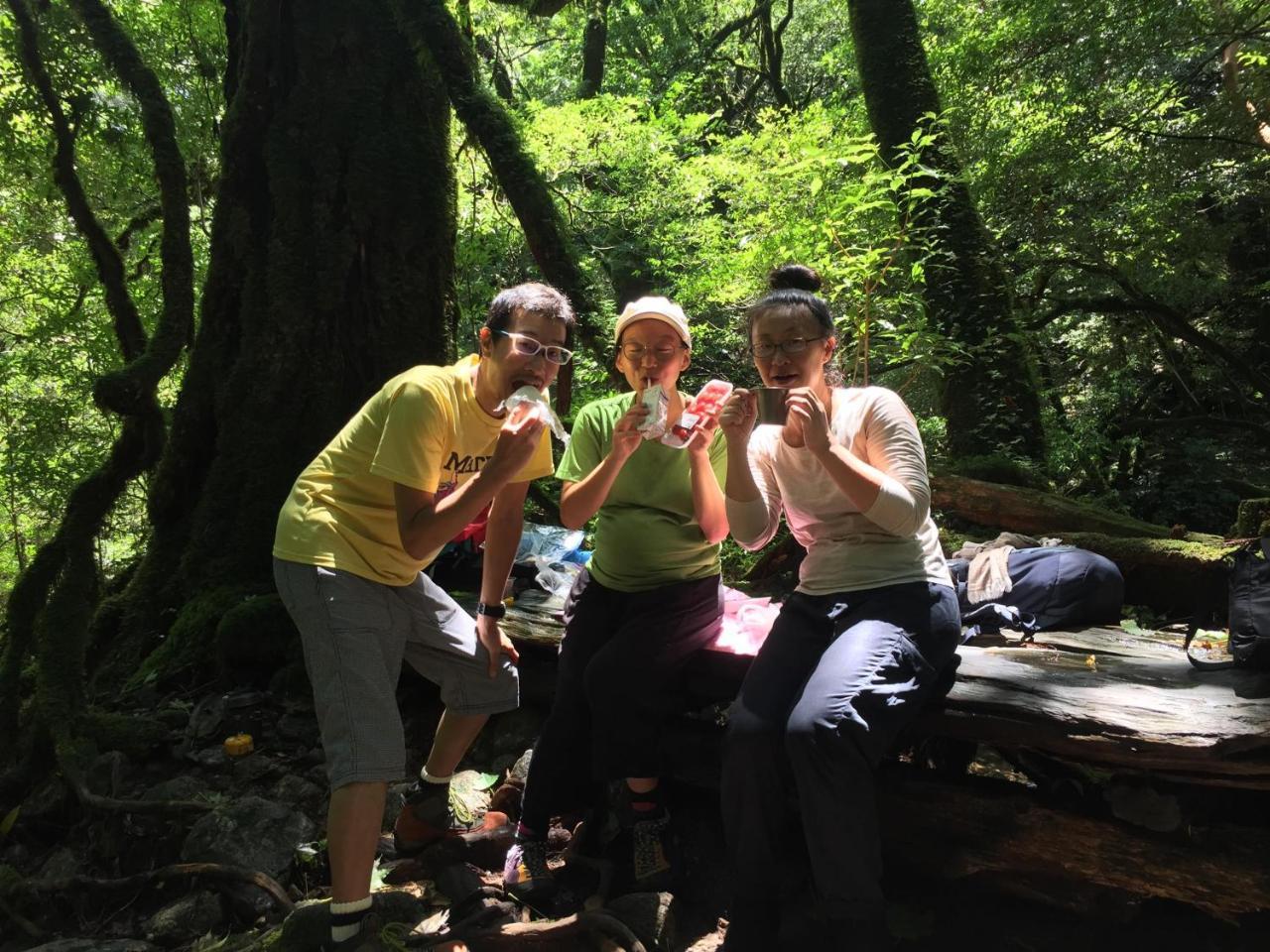 Yakushima Youth Hostel Bagian luar foto
